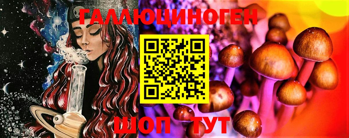 Псилоцибиновые грибы Psilocybe Гусев
