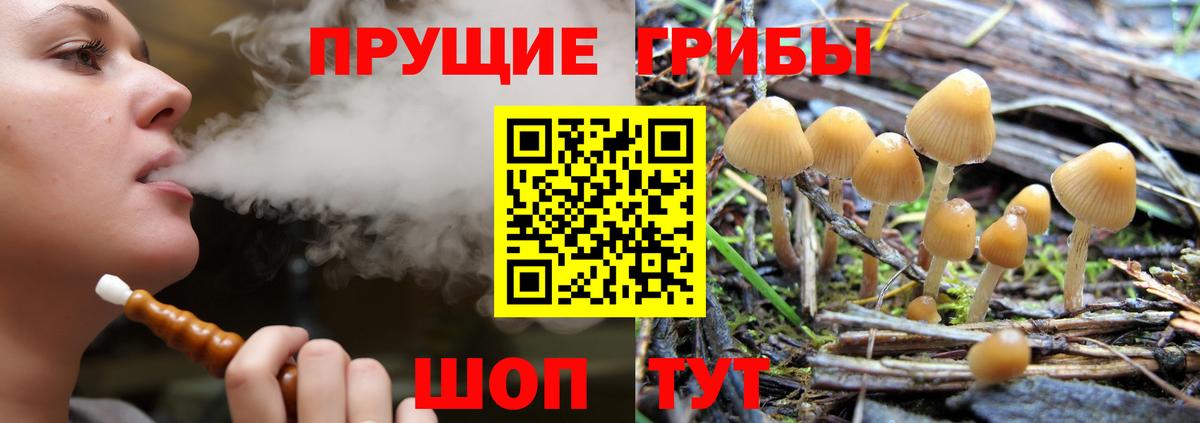 Псилоцибиновые грибы ЛСД  Вход с VPN  Псилоцибиновые грибы Psilocybe  где продают   Гусев 